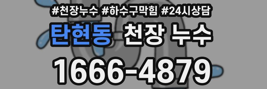 탄현동 천장 누수