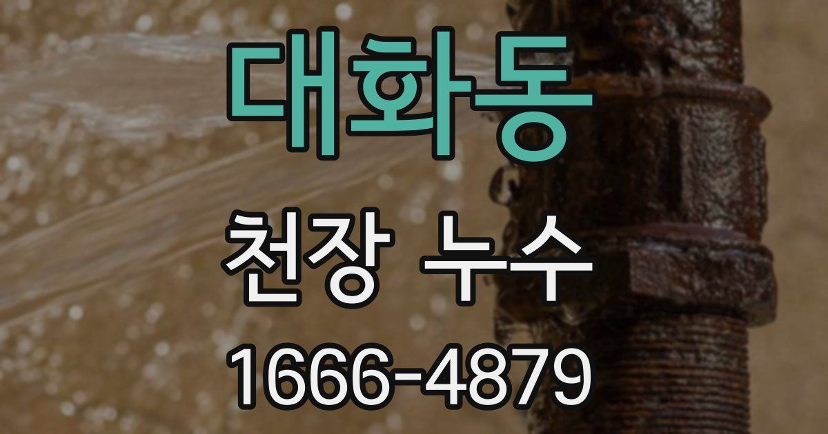 대화동 천장 누수