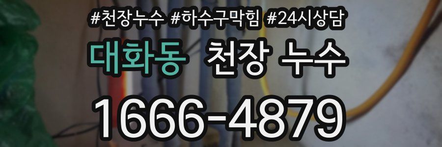 대화동 천장 누수