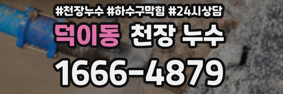 덕이동 천장 누수