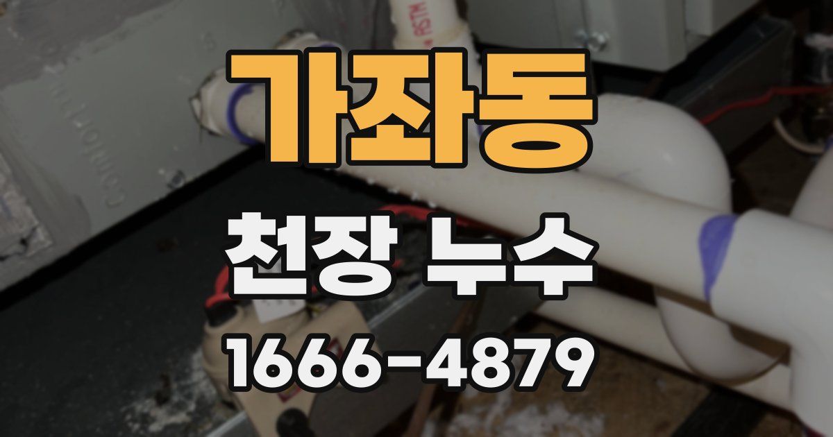 가좌동 천장 누수