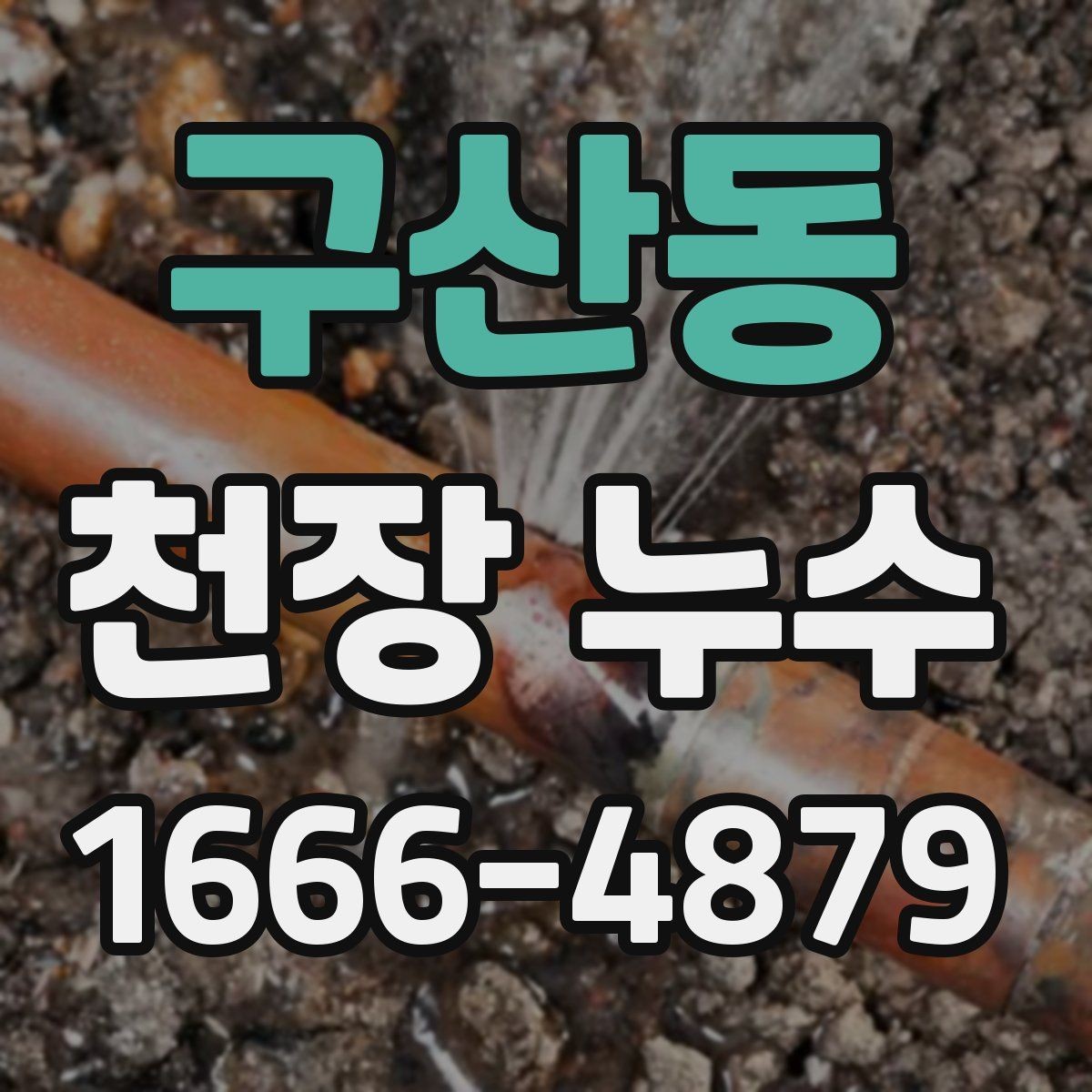 구산동 천장 누수 점검구 주변이 젖는다면 위층 배관 의심