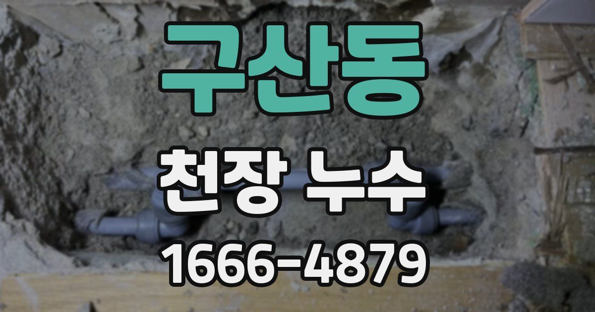 구산동 천장 누수