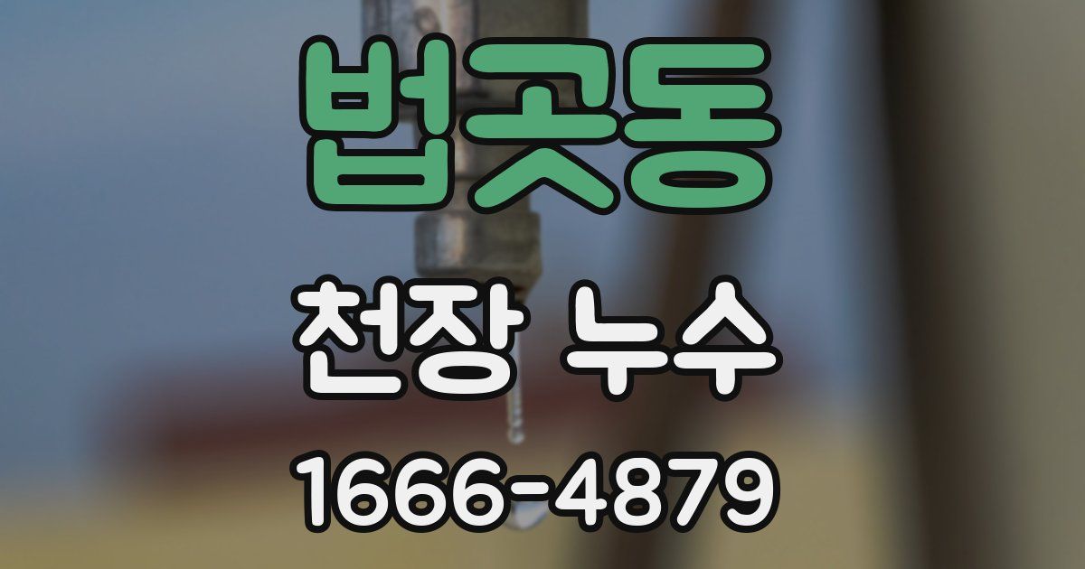 법곳동 천장 누수