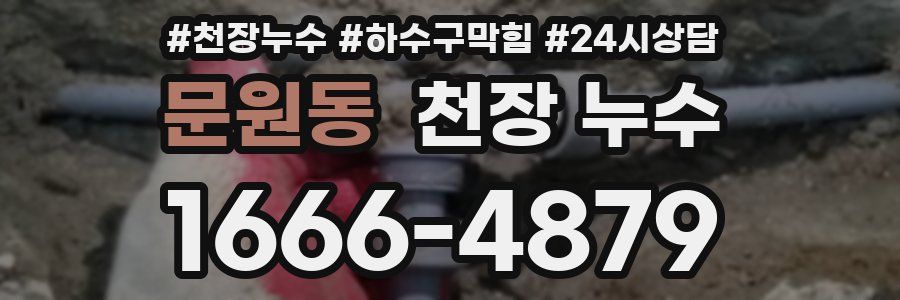 문원동 천장 누수