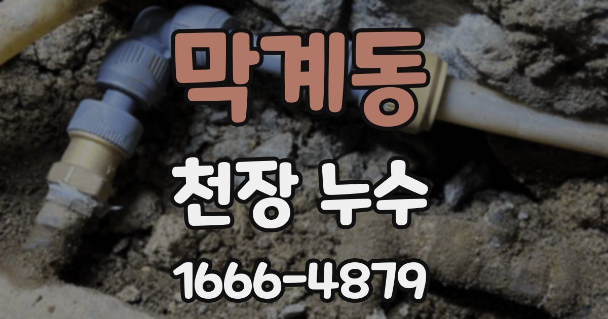 막계동 천장 누수