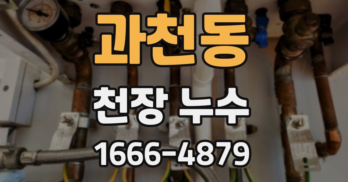 과천동 천장 누수