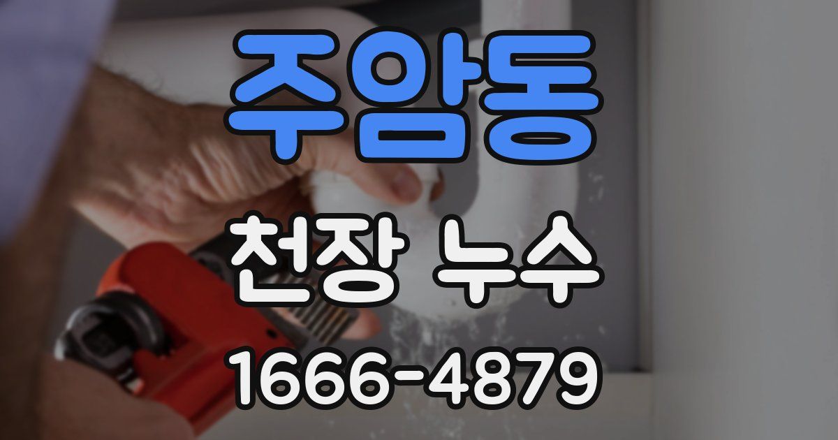 주암동 천장 누수