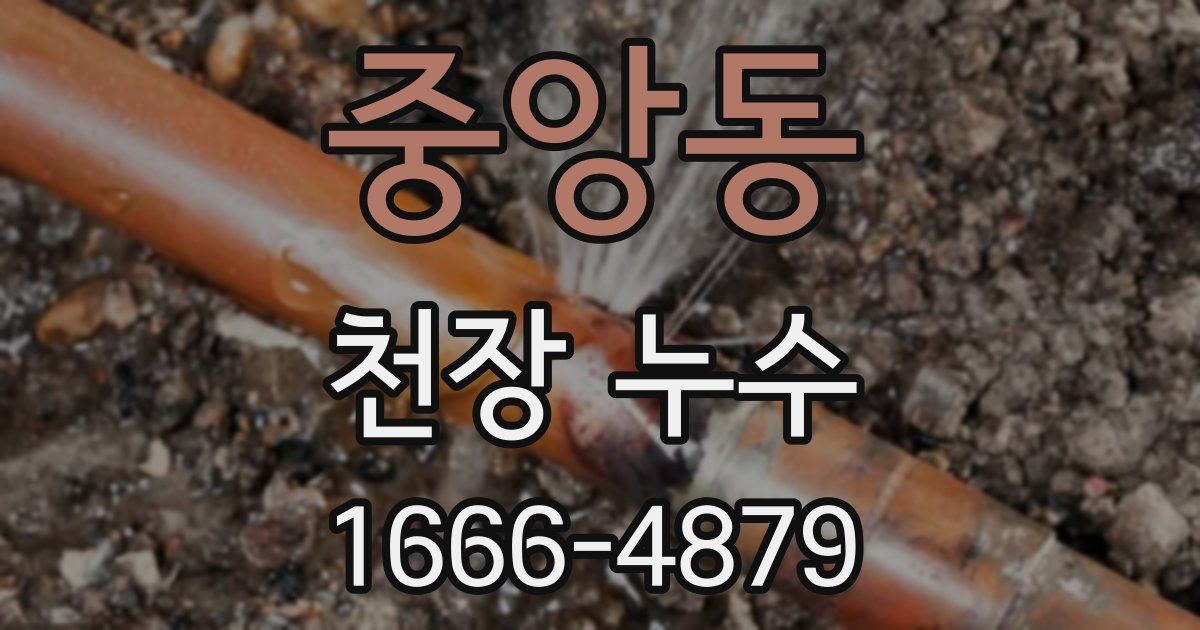 중앙동 천장 누수