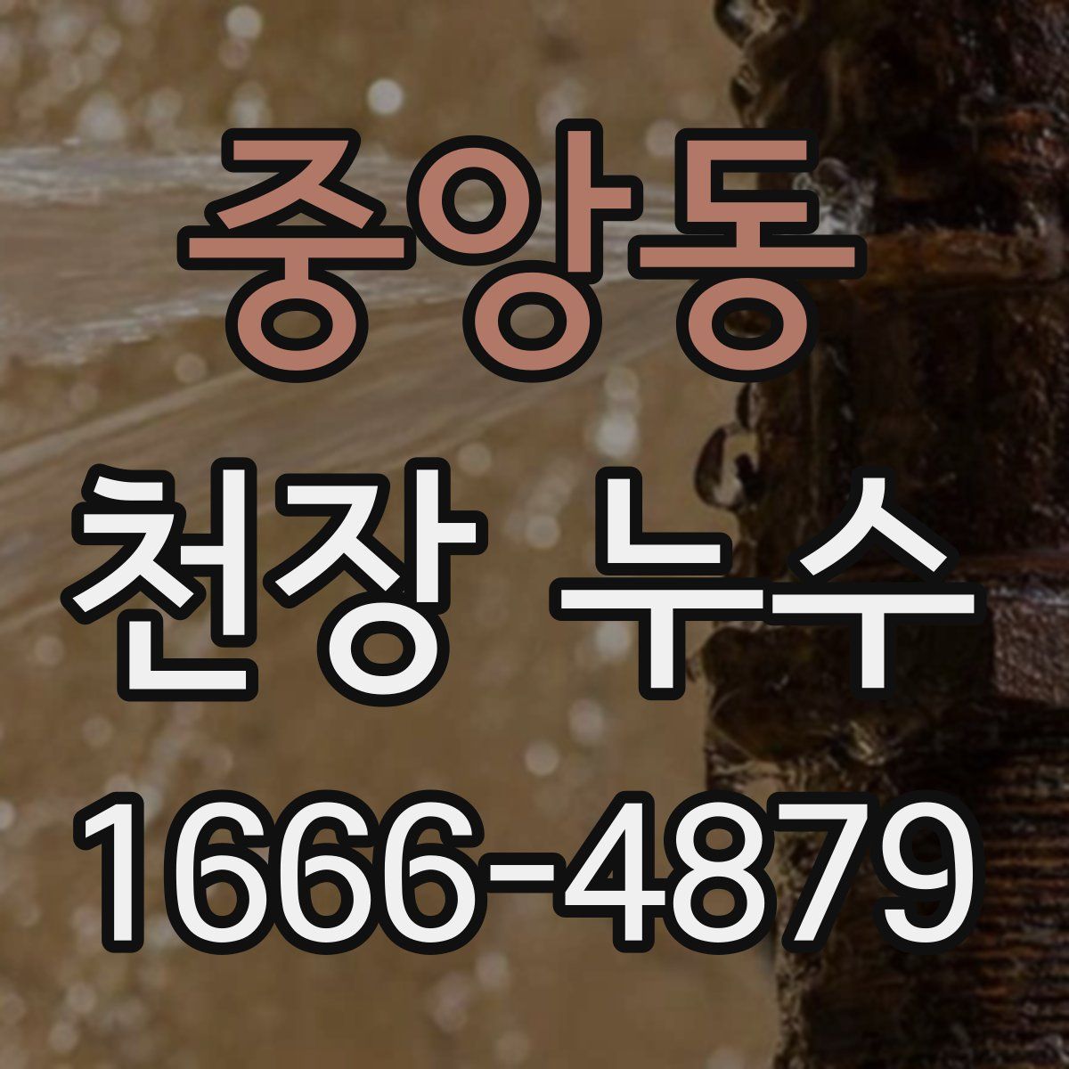 중앙동 천장 누수