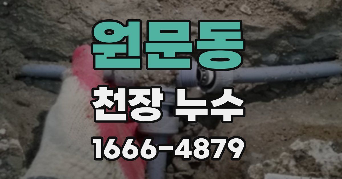 원문동 천장 누수