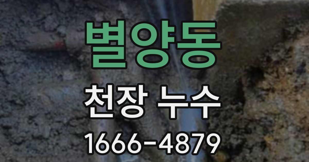 별양동 천장 누수