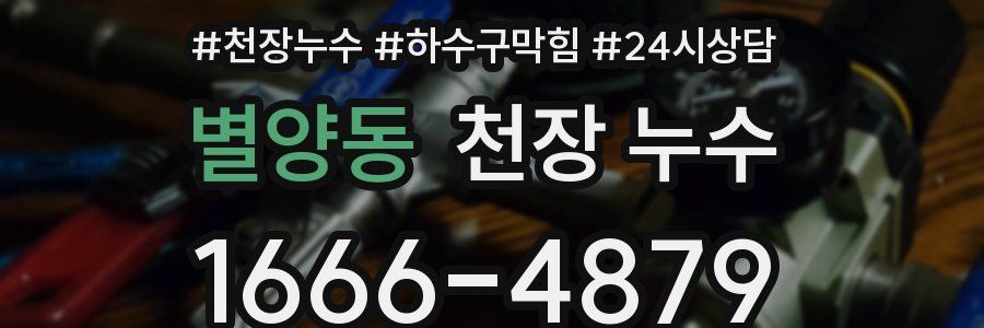 별양동 천장 누수