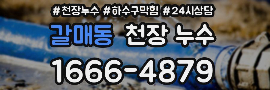 갈매동 천장 누수