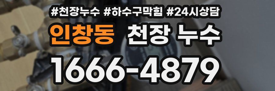 인창동 천장 누수