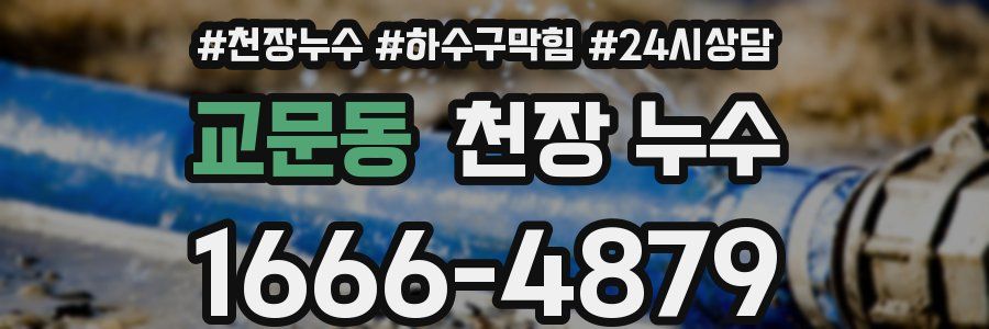 교문동 천장 누수