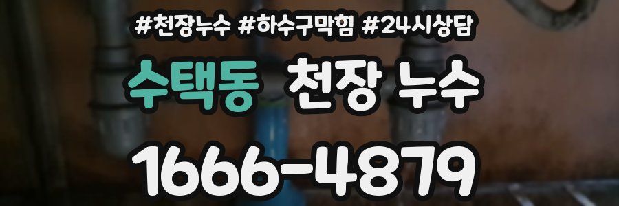 수택동 천장 누수