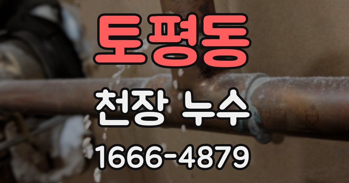 토평동 천장 누수