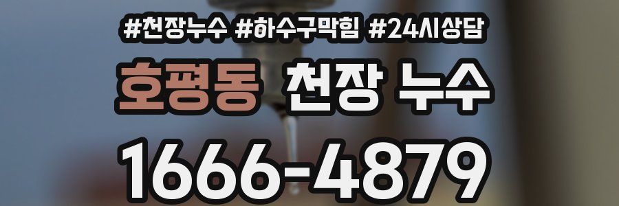 호평동 천장 누수