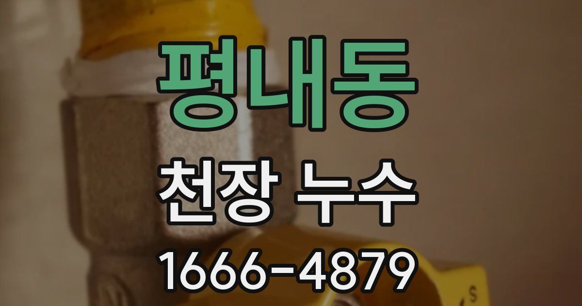 평내동 천장 누수