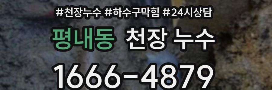 평내동 천장 누수