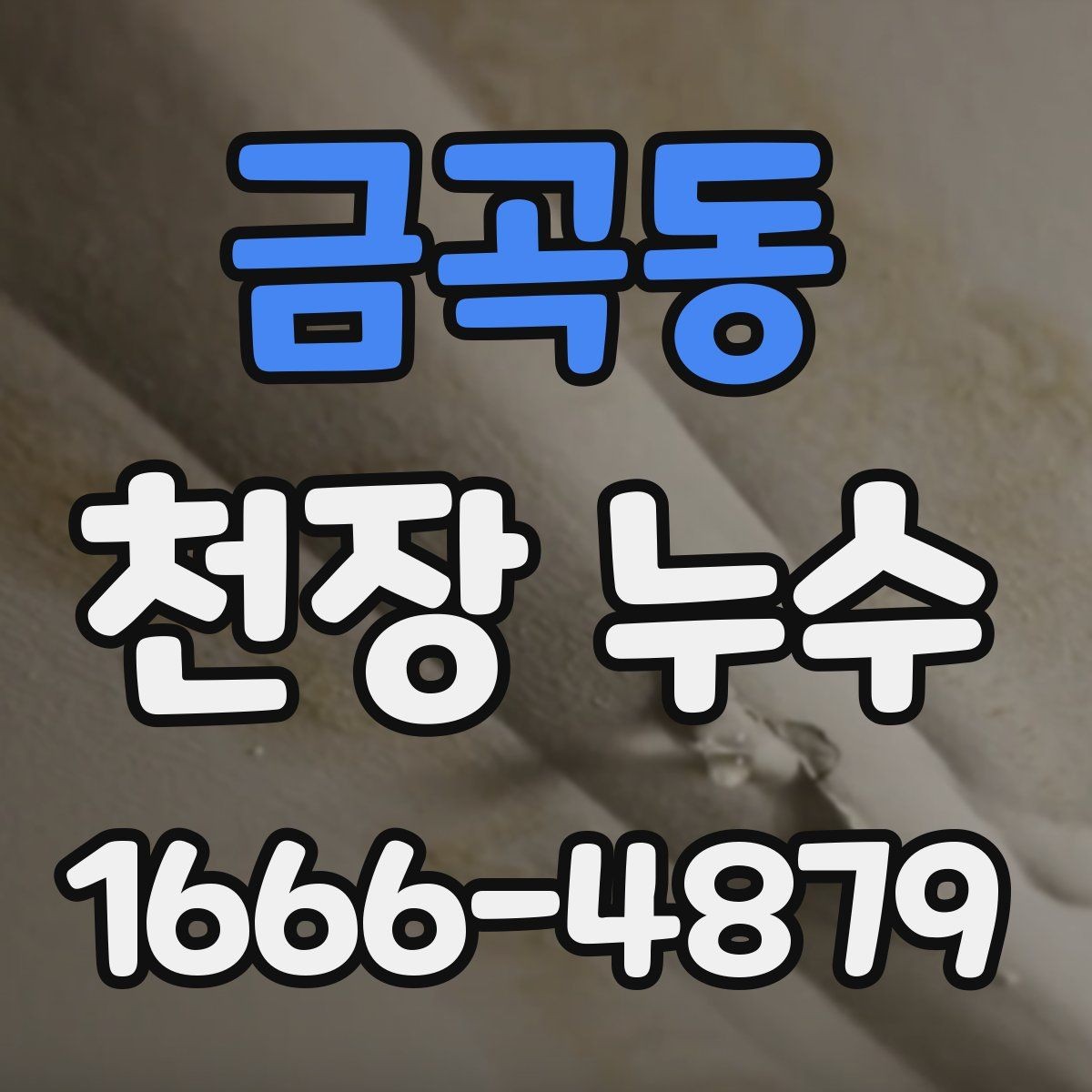 금곡동 천장 누수 천장 틈새로 물이 스며드는 상황 정리