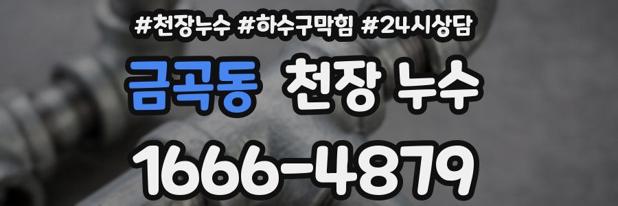 금곡동 천장 누수