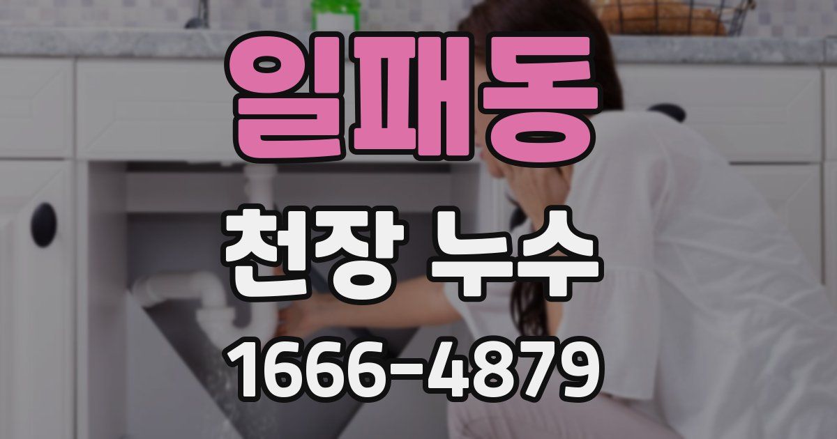 일패동 천장 누수