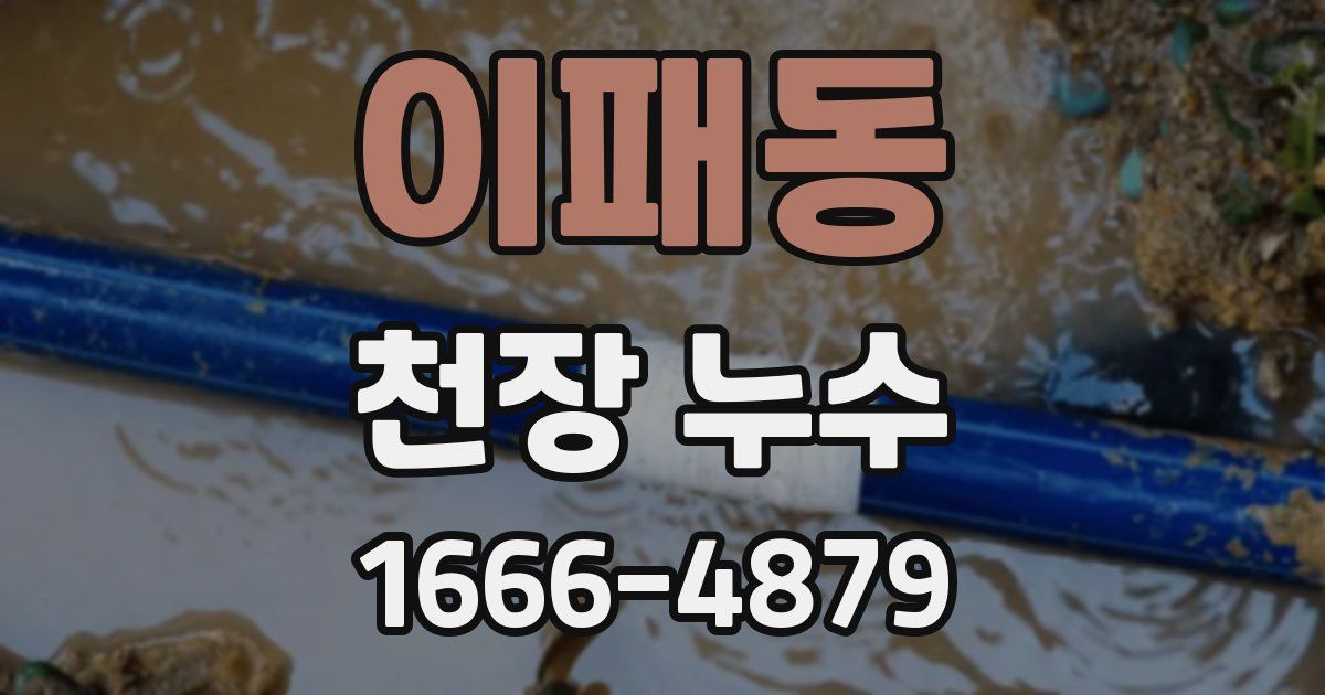 이패동 천장 누수