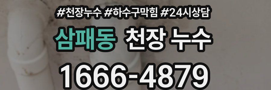 삼패동 천장 누수