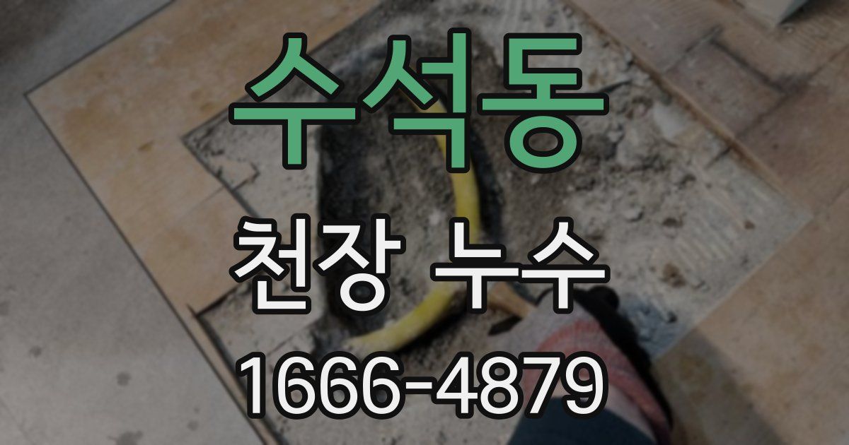 수석동 천장 누수