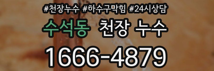 수석동 천장 누수