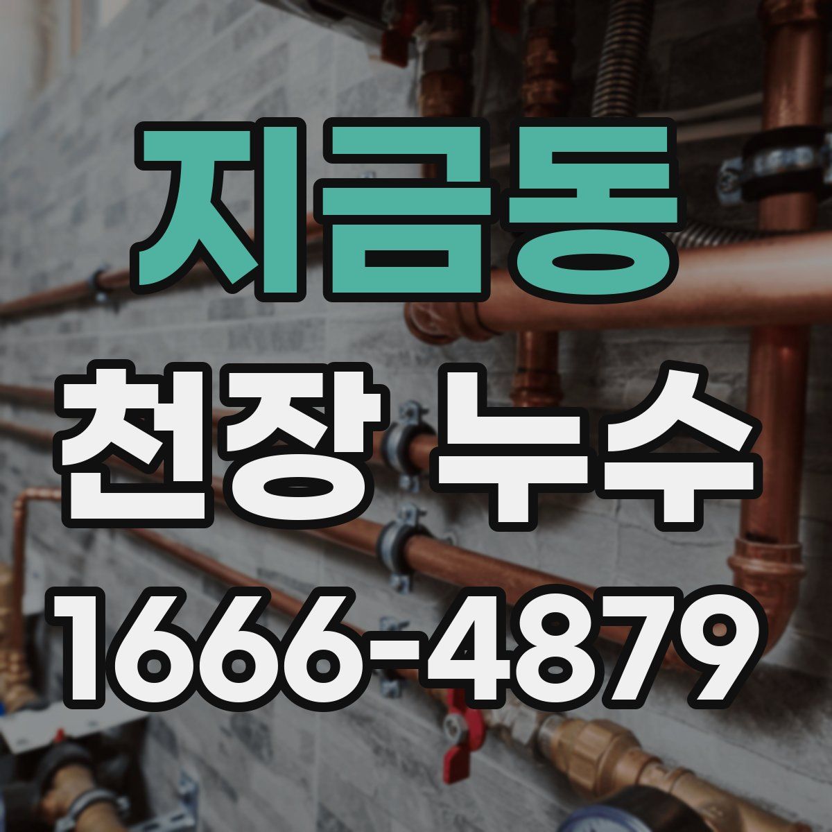 지금동 천장 누수