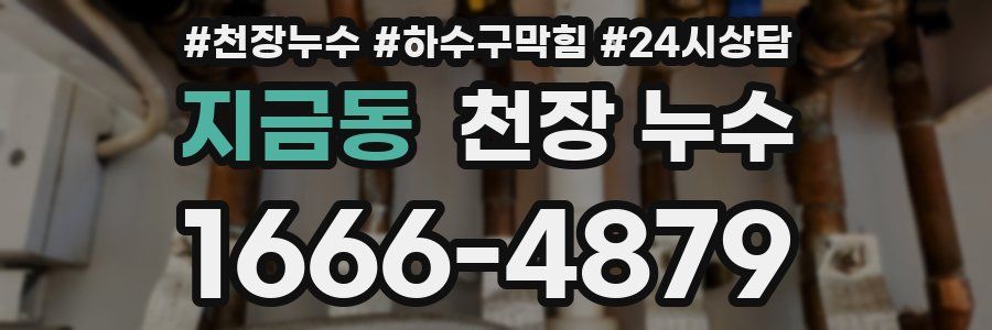 지금동 천장 누수