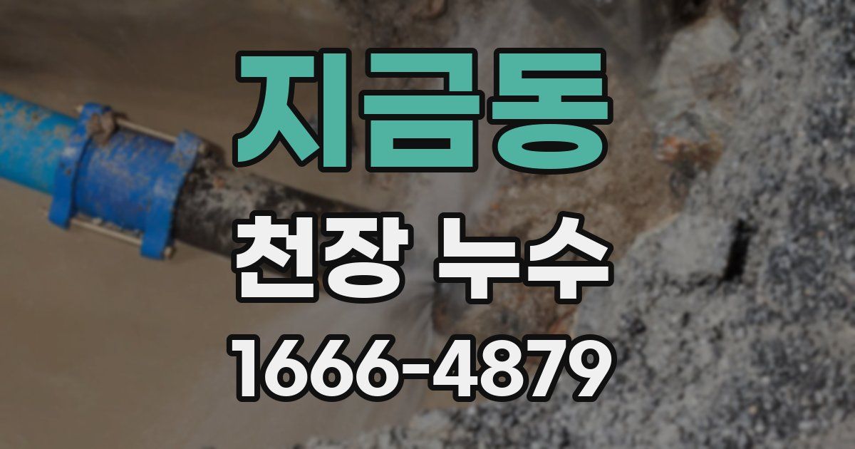 지금동 천장 누수