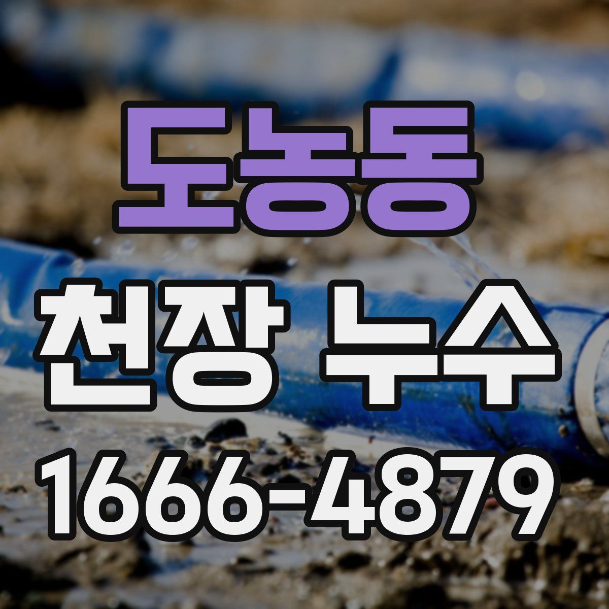 도농동 천장 누수