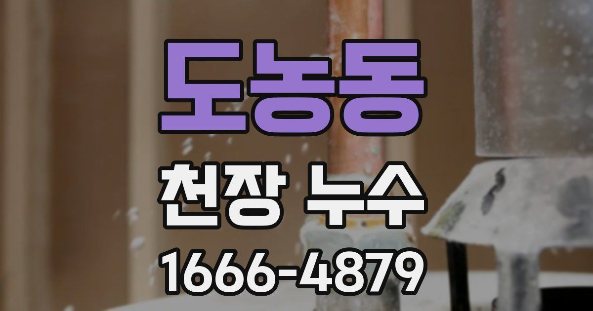 도농동 천장 누수