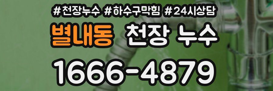 별내동 천장 누수