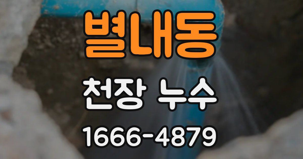 별내동 천장 누수