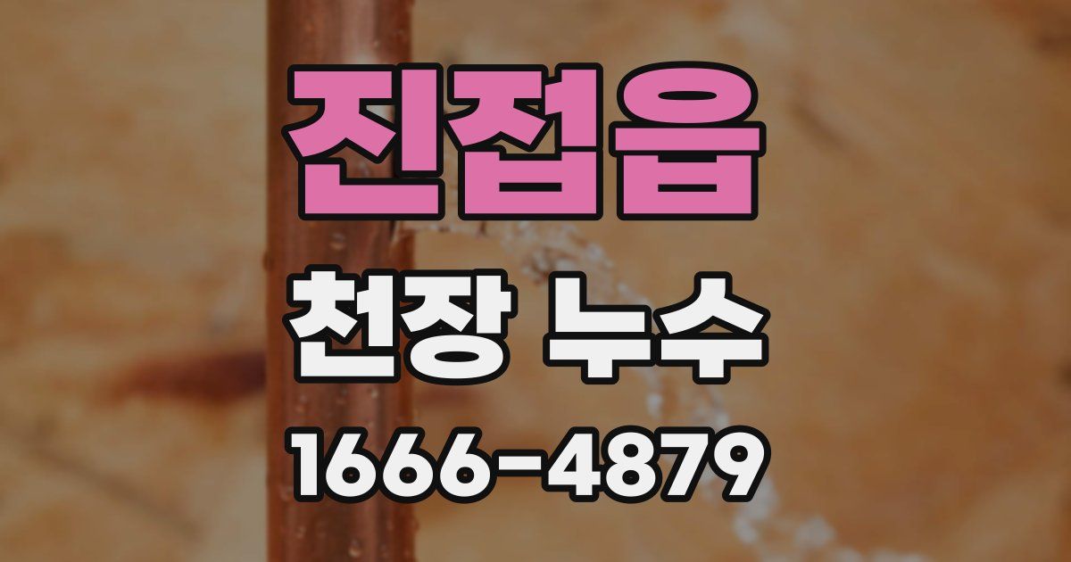진접읍 천장 누수