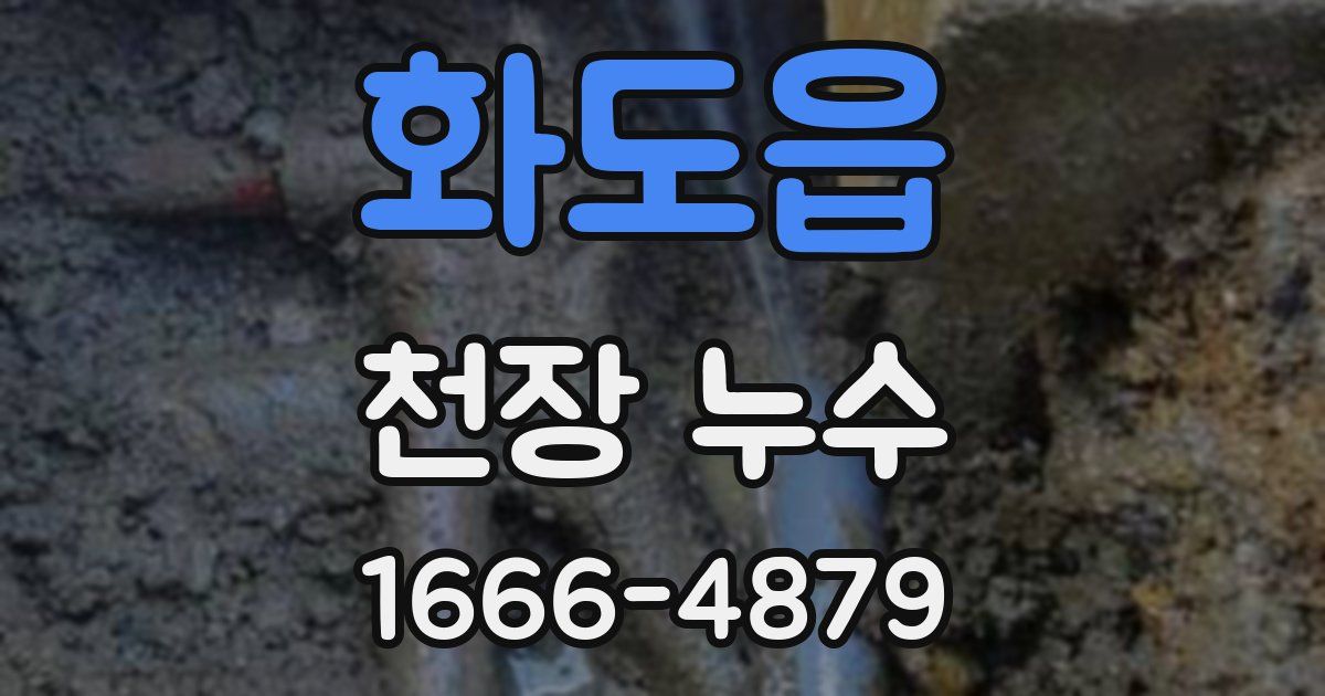 화도읍 천장 누수