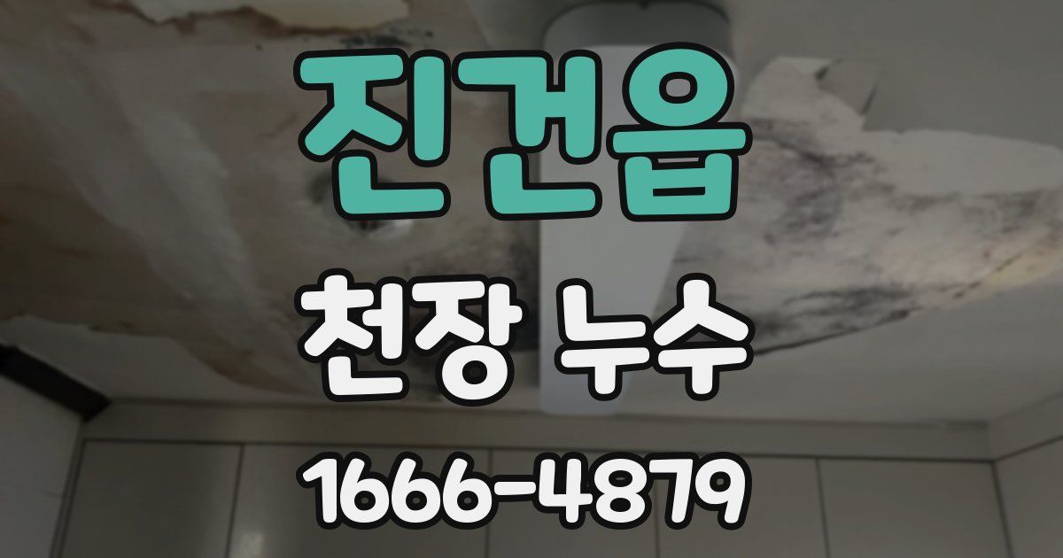진건읍 천장 누수