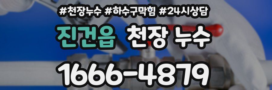 진건읍 천장 누수