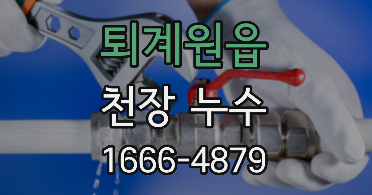 퇴계원읍 천장 누수