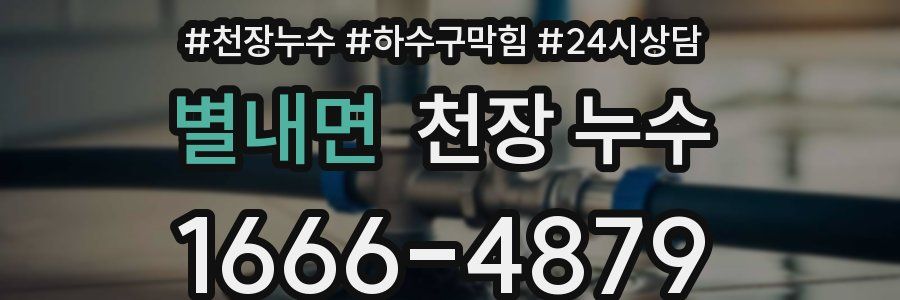 별내면 천장 누수