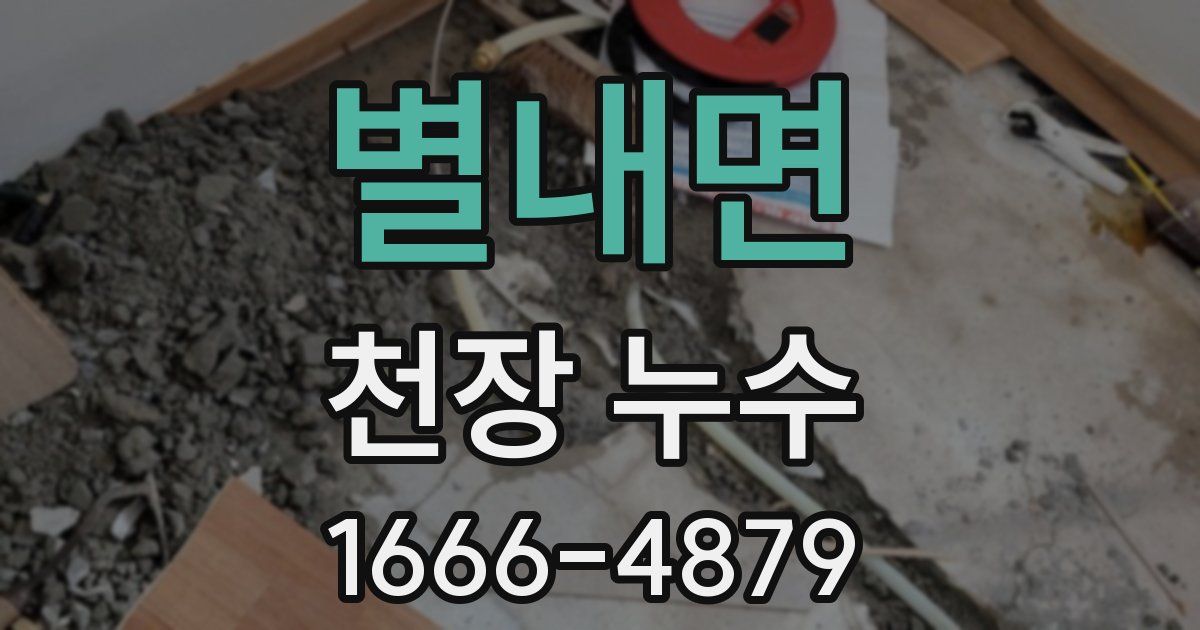 별내면 천장 누수