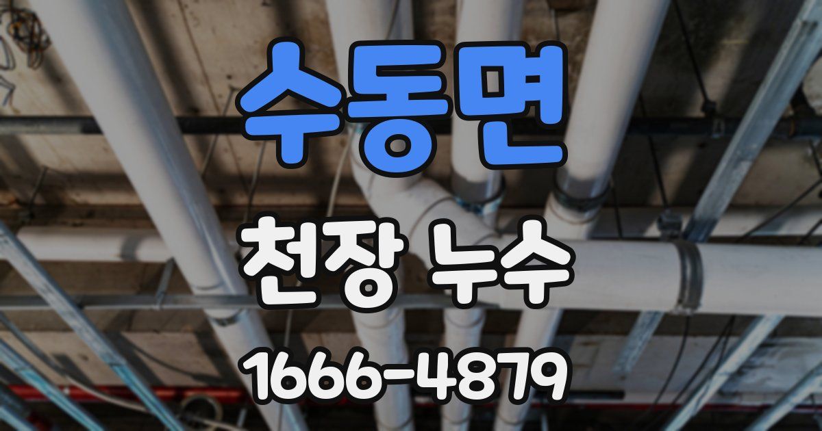 수동면 천장 누수