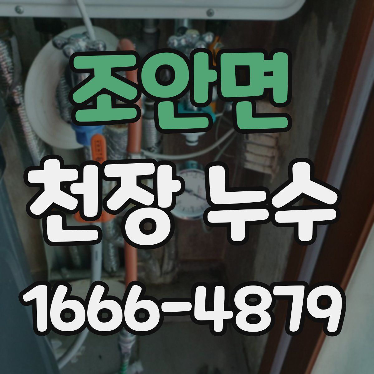 조안면 천장 누수