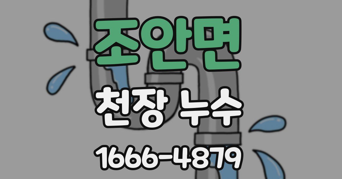 조안면 천장 누수