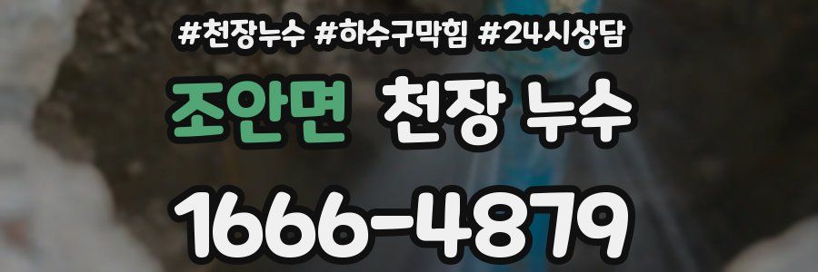 조안면 천장 누수